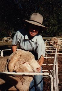 Super Sheep Excursion