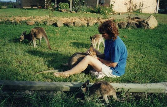 Skippy – The Farm Kangaroo