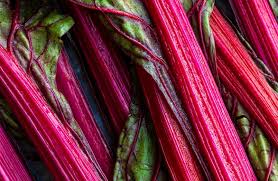 My Favourite Rhubarb Recipes